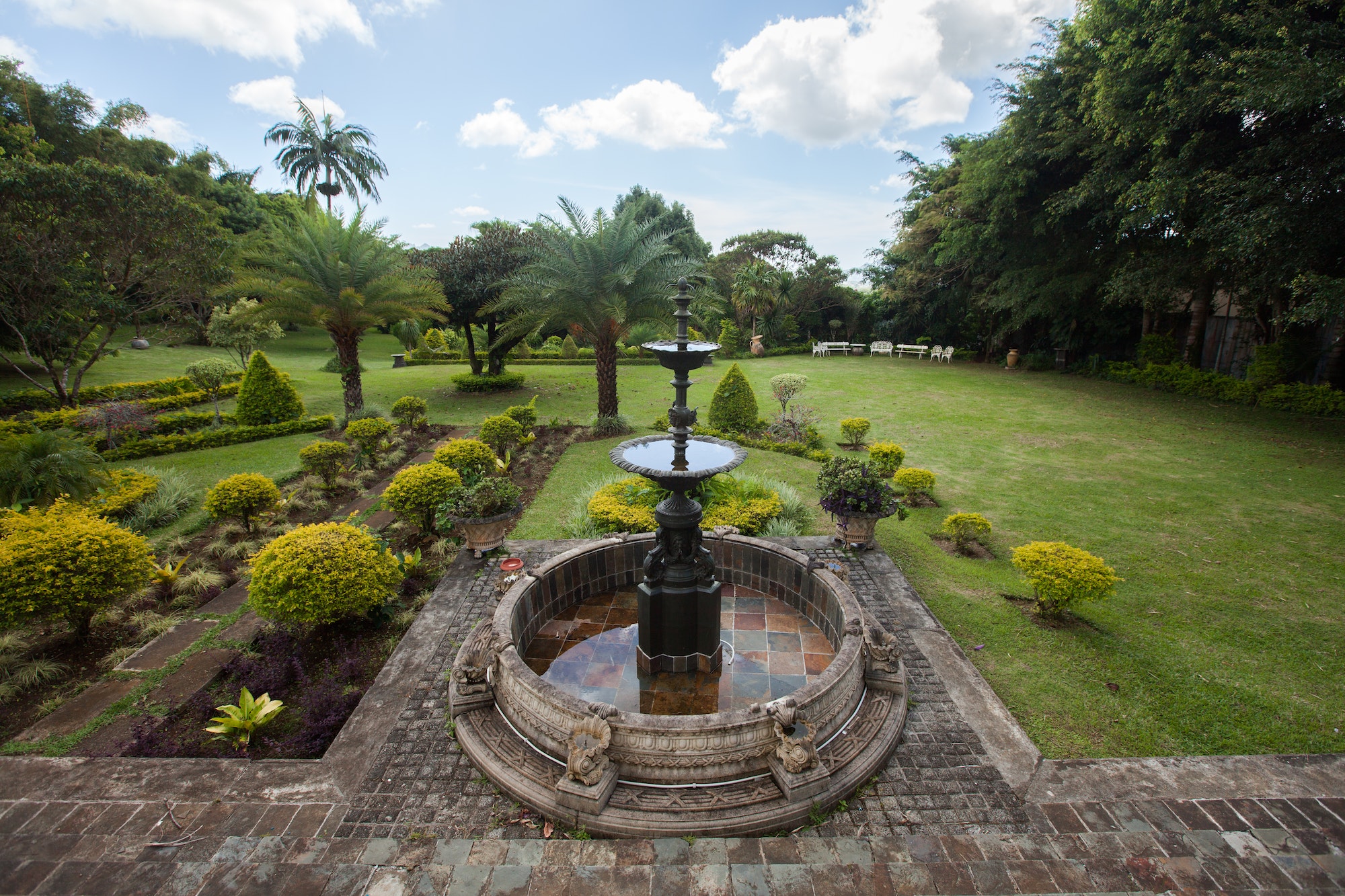 Fountain garden and palm trees